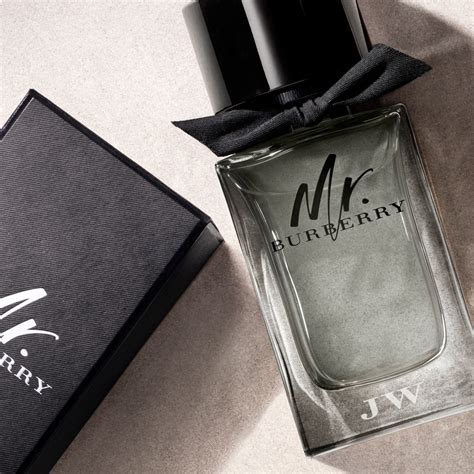 burberry eau de toilette mr|burberry eau de toilette men.